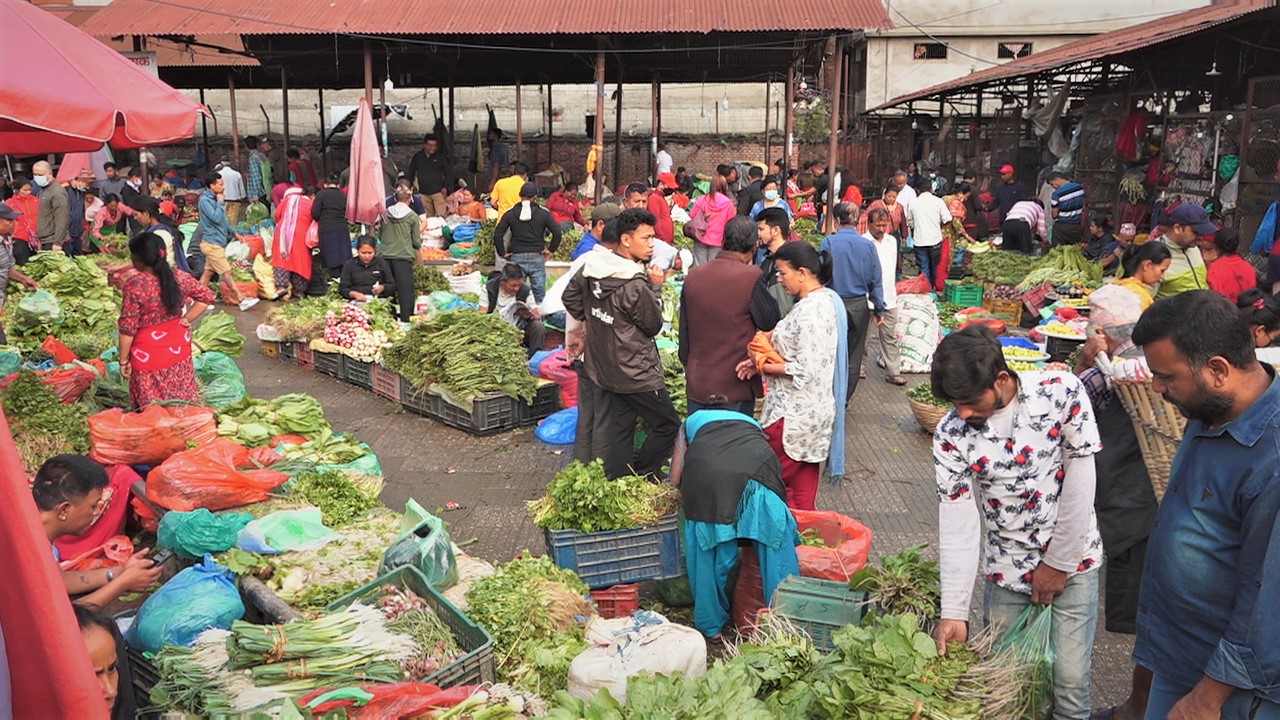 एक दिनमै किलोमा १०० रुपैयाँ बढ्यो साग, अन्य तरकारीको मूल्य कति ? 